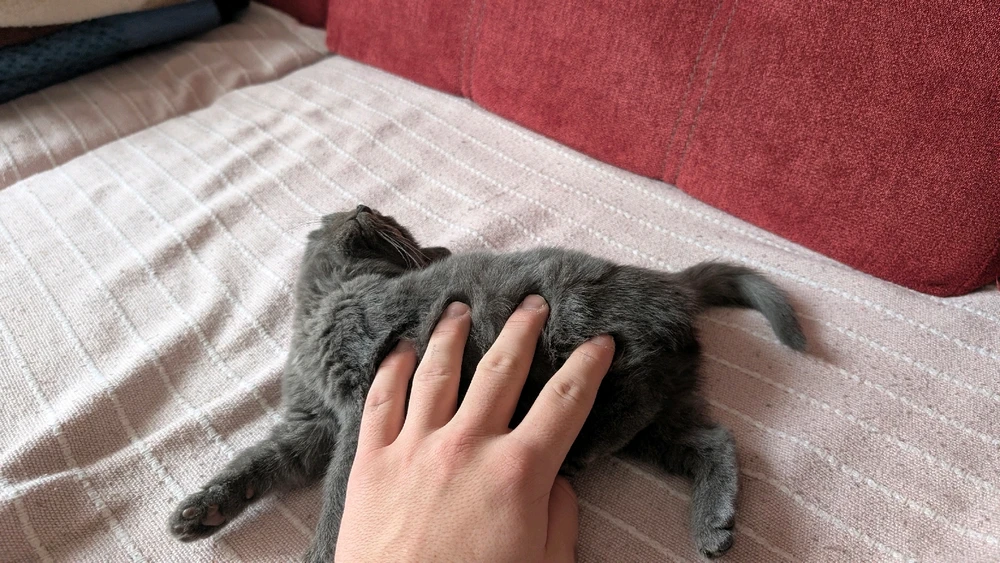 Obrázek nahrál Matěj