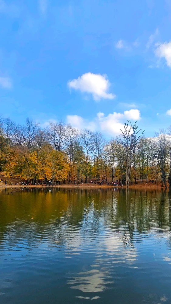 Image uploaded by Sam