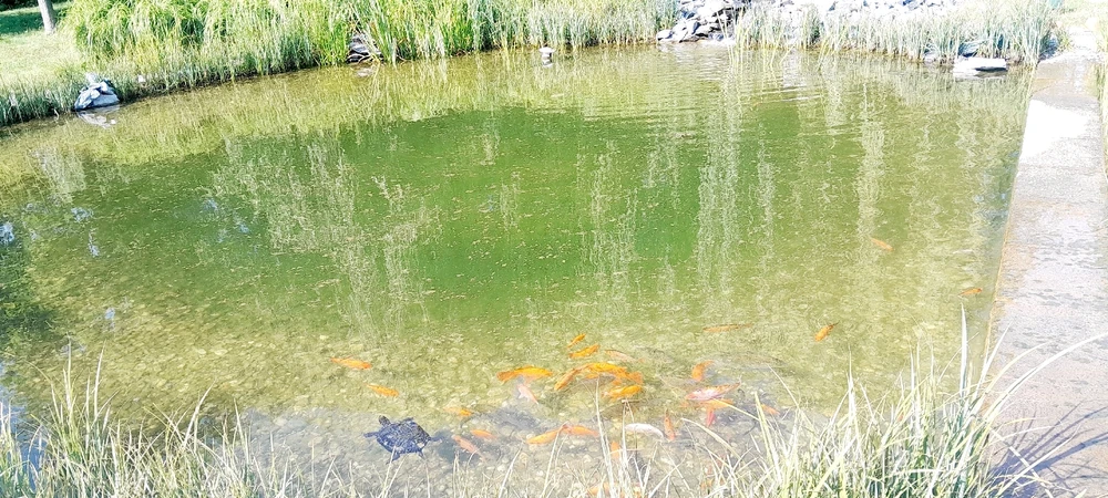 Зображення завантажив Oleg