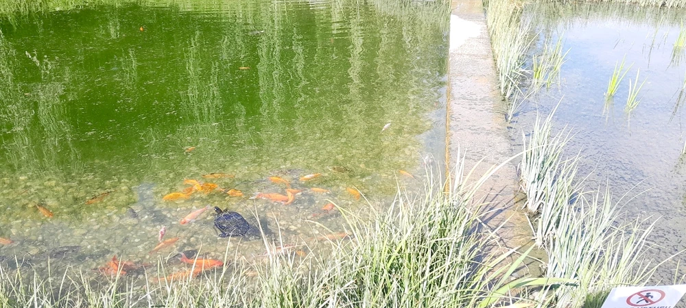 Зображення завантажив Oleg