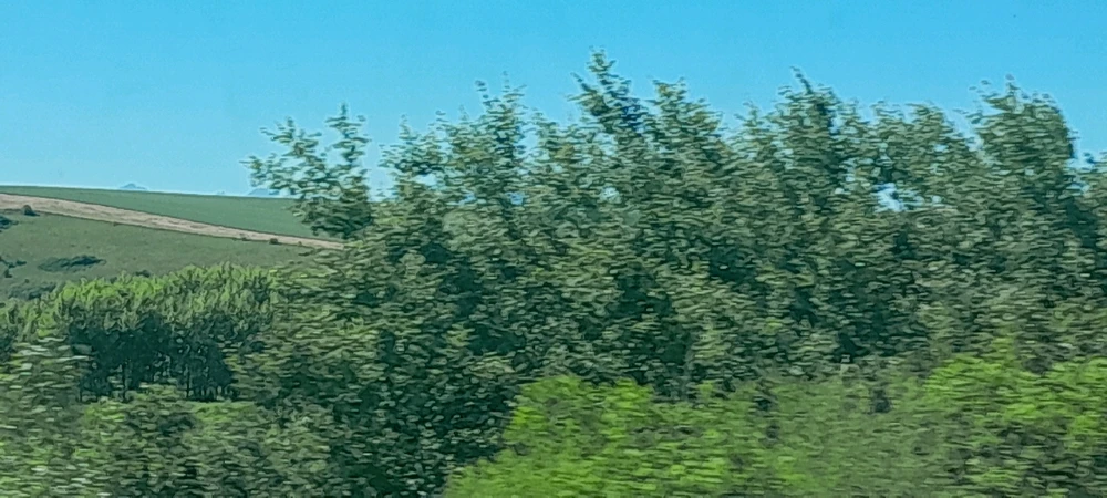 Зображення завантажив Oleg