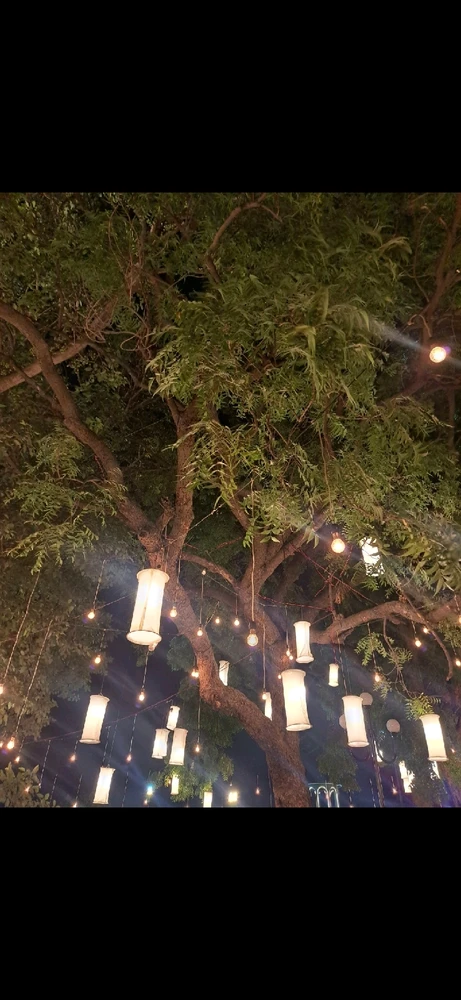 GIF uploaded by Stella