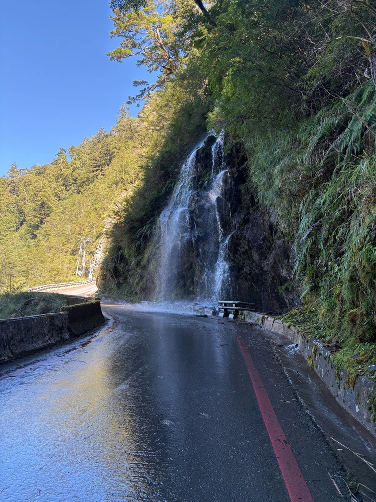 Woody上傳的圖片