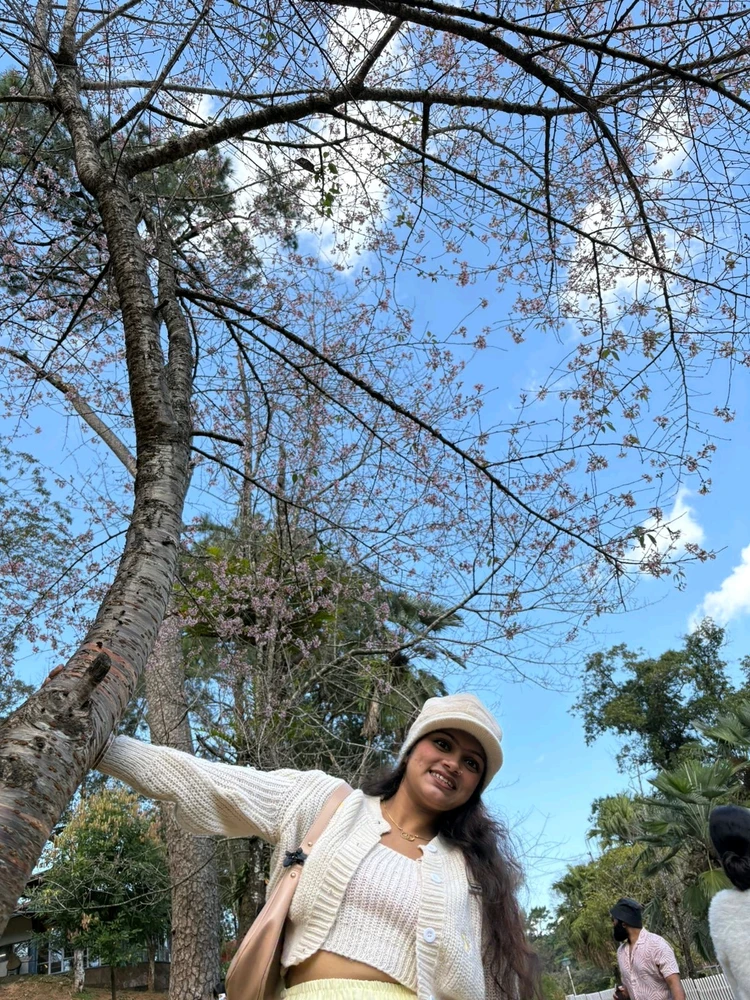 P上傳的圖片
