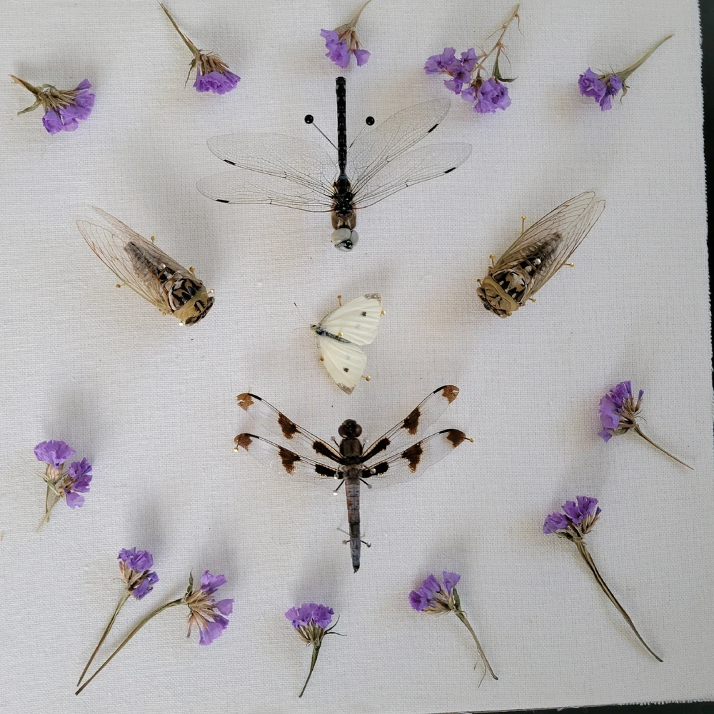 GIF uploaded by Chani