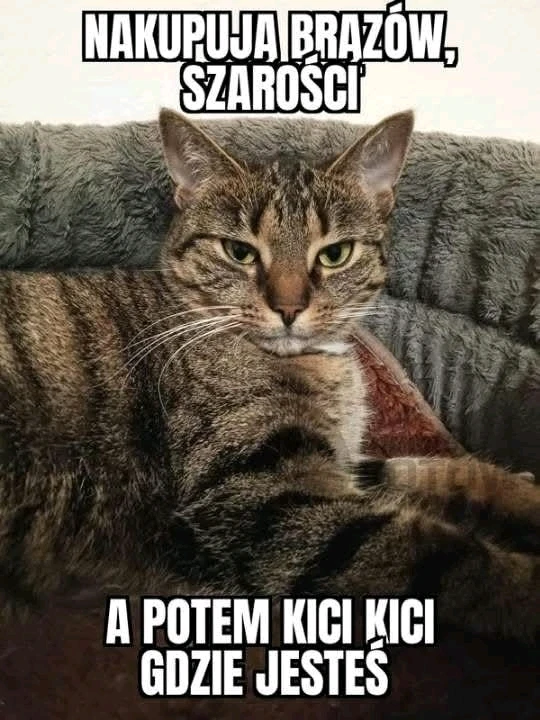GIF dodany przez Ola