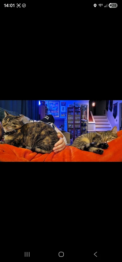 GIF uploaded by Stefan