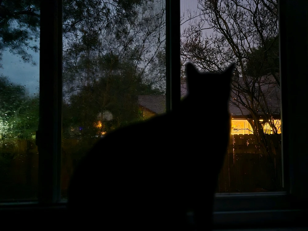 Image uploaded by Zion