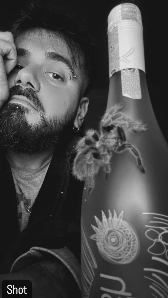 Pyro tarafından yüklenen GIF