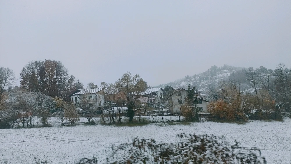 Carol님이 올린 GIF