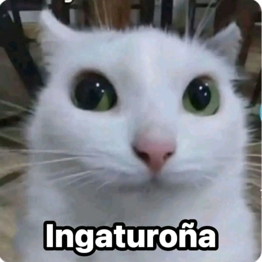 AngelがアップロードしたGIF