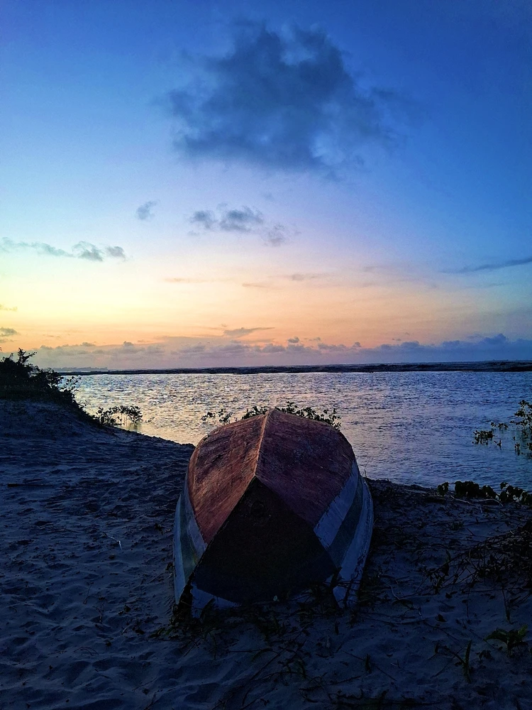 Imagem enviada por Vanessa