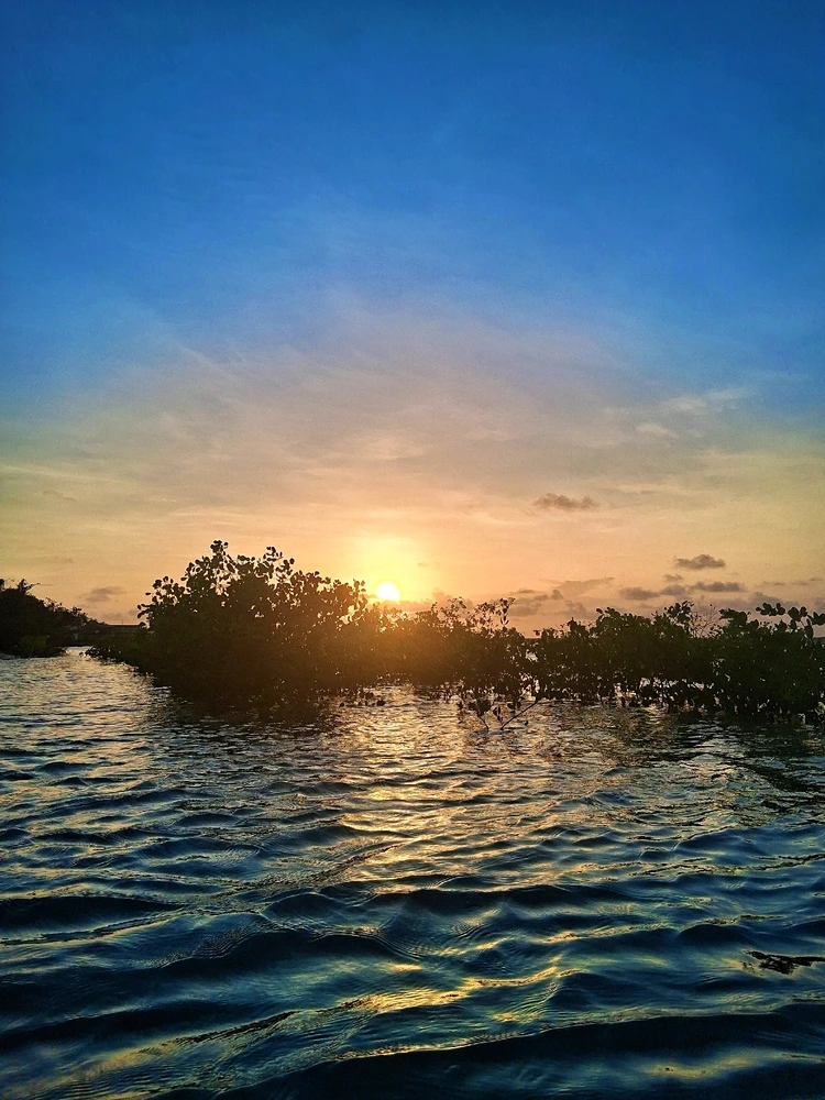 Imagem enviada por Vanessa