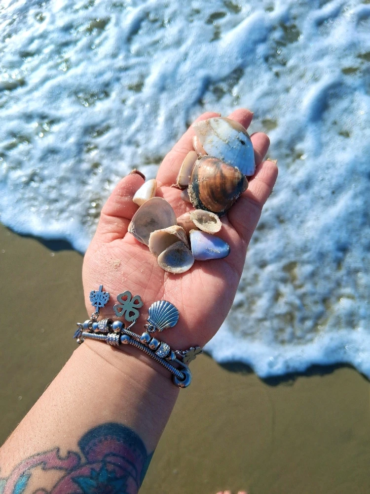 Imagem enviada por Vanessa