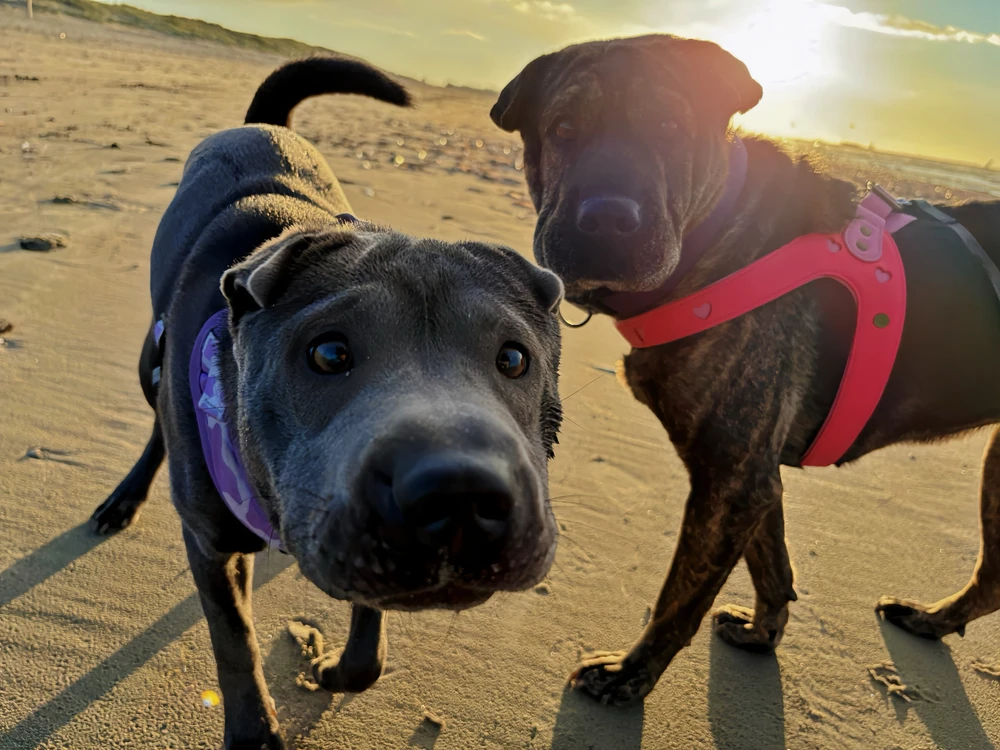 Image uploaded by Femke