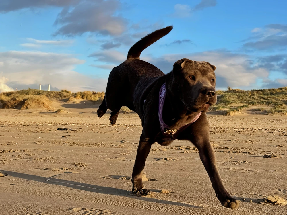 Image uploaded by Femke