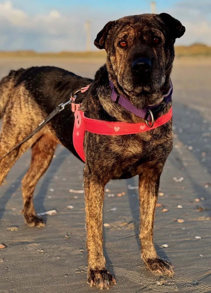 Image uploaded by Femke