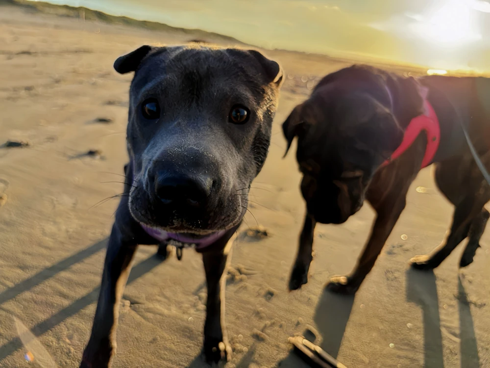 Image uploaded by Femke