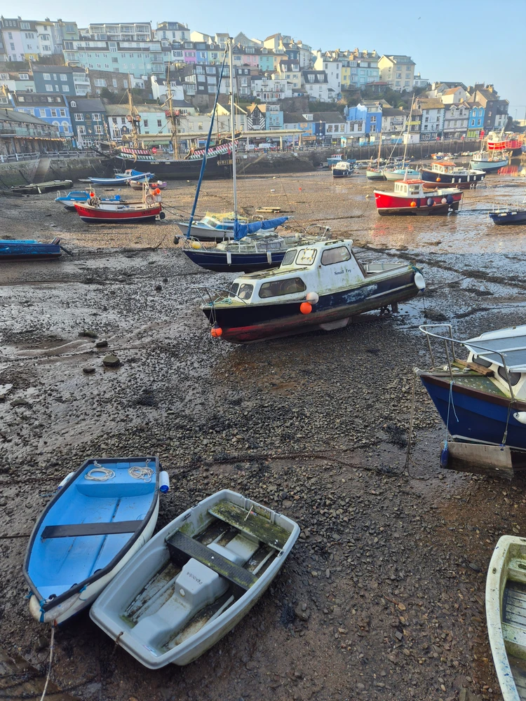 Image uploaded by Chris