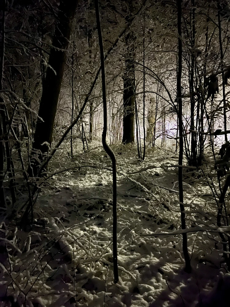 Image uploaded by Fredric