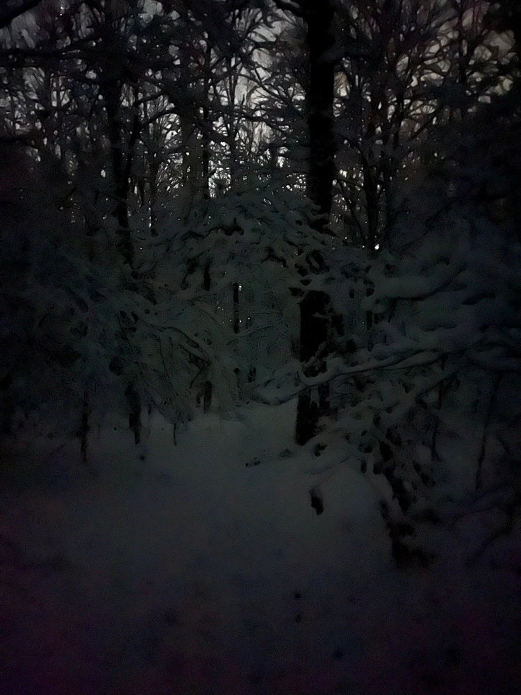 Image uploaded by Fredric