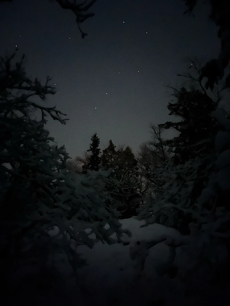 Image uploaded by Fredric