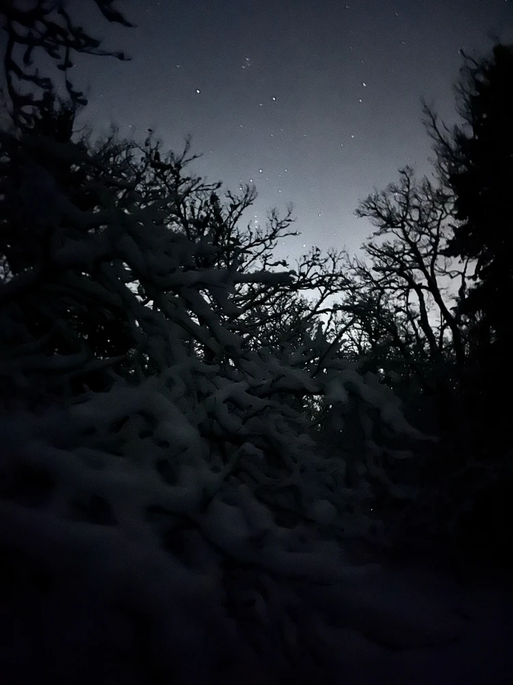 Image uploaded by Fredric