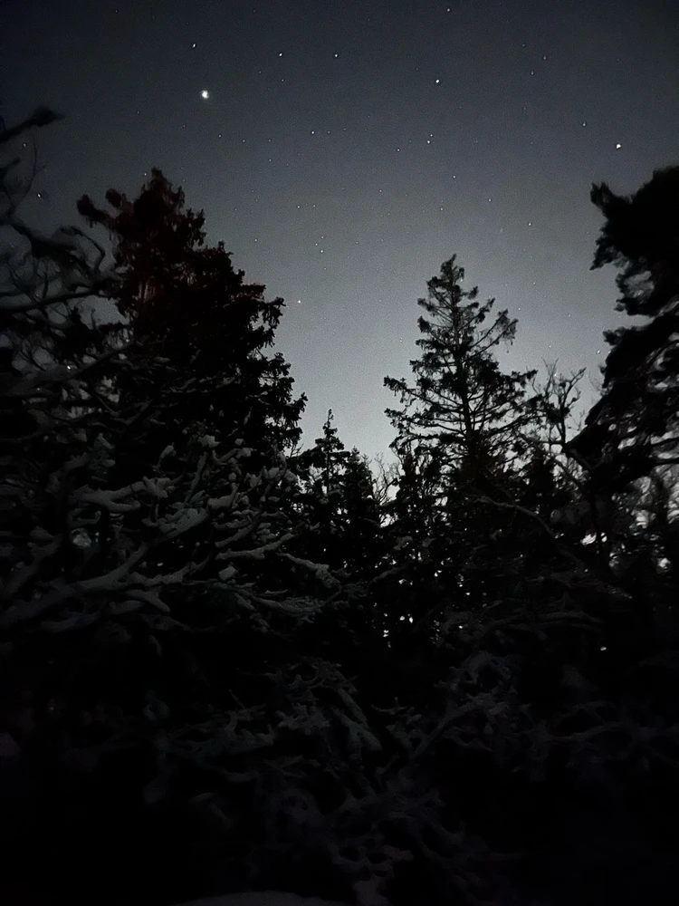 Image uploaded by Fredric