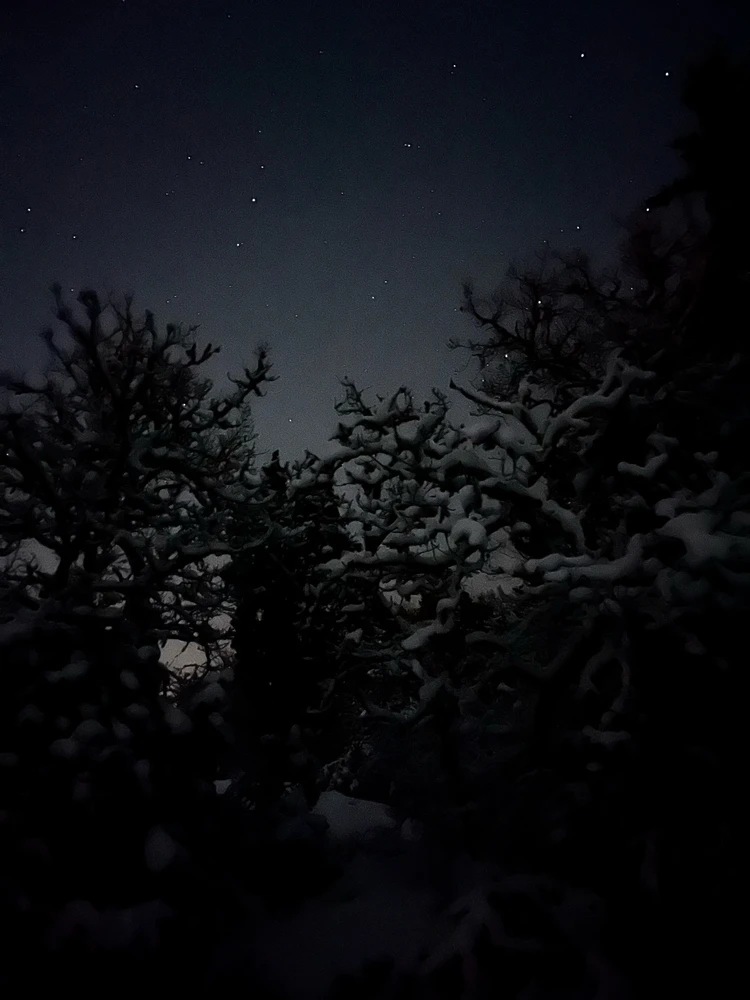 Image uploaded by Fredric