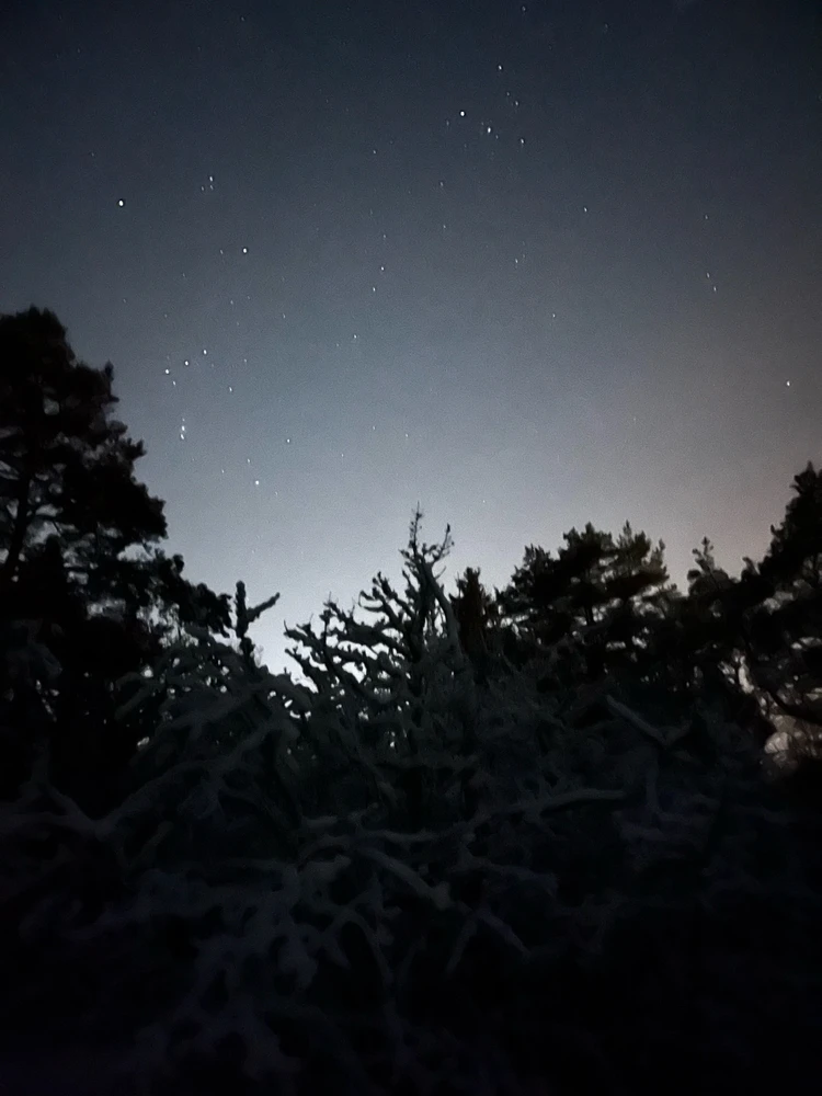 Image uploaded by Fredric