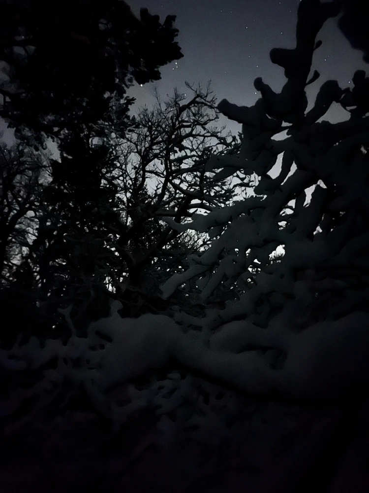 Image uploaded by Fredric