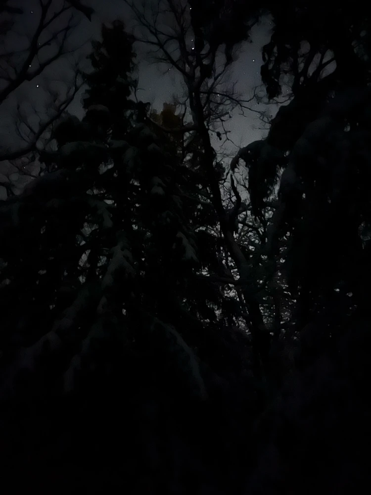 Image uploaded by Fredric