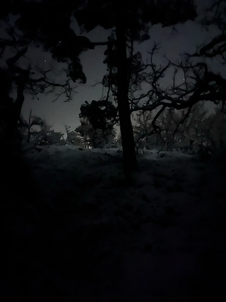 Image uploaded by Fredric