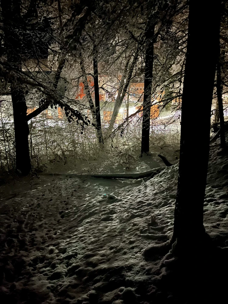 Image uploaded by Fredric