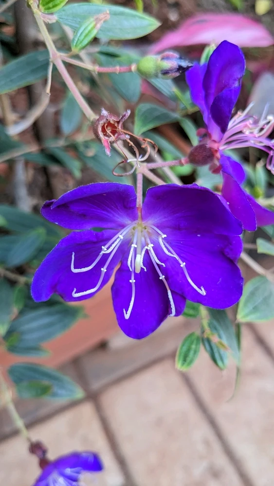 Image uploaded by Ishan