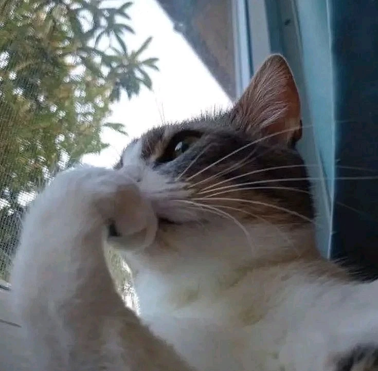 GIF subido por Eduardo