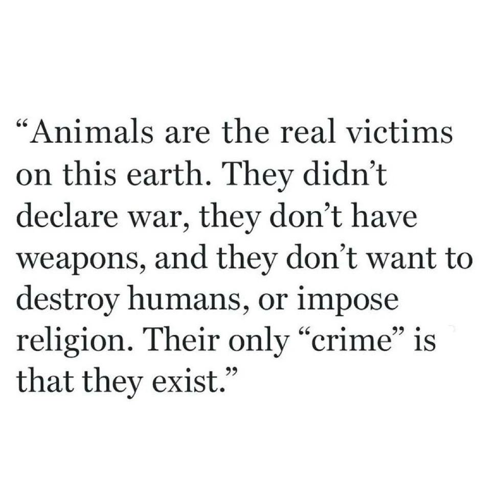 GIF hochgeladen von Tara