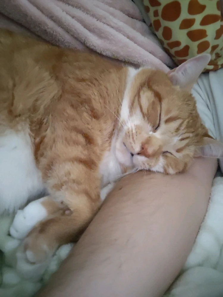 GIF uploaded by Dakota