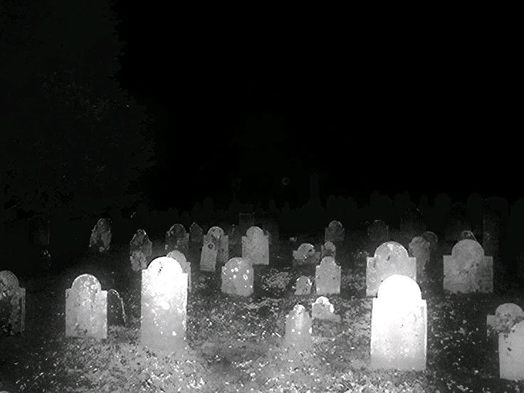 GIF diunggah dening Miguel