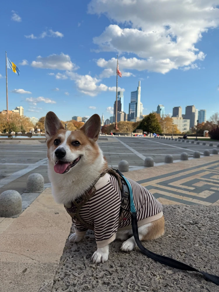 Image uploaded by Wera