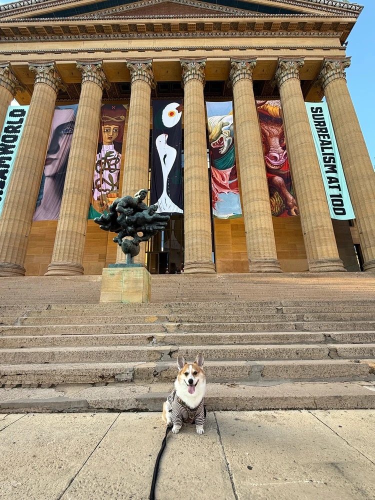 Image uploaded by Wera