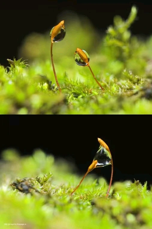 GIF uploaded by Alex