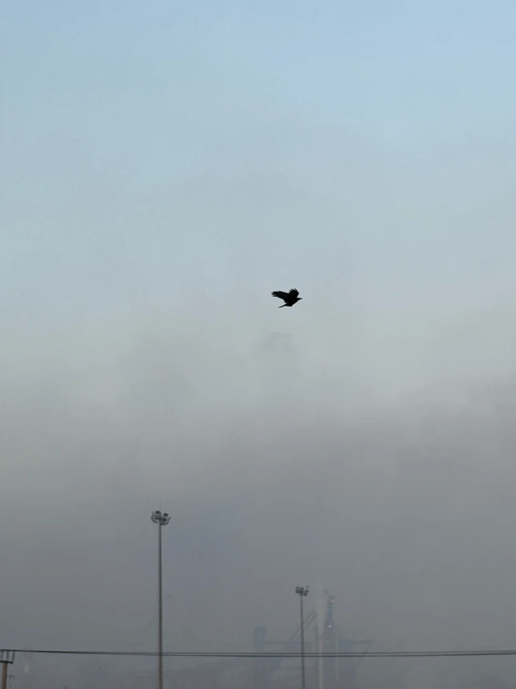 GIF uploaded by JAGAN NATH ROUT