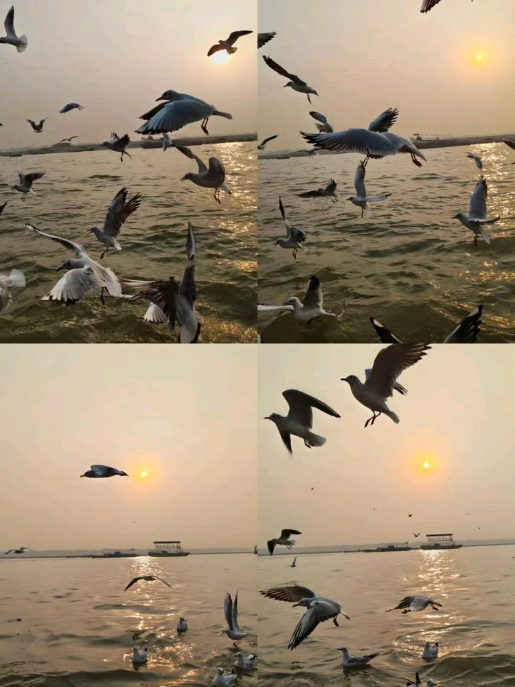 GIF uploaded by Rohit Vishwakarma