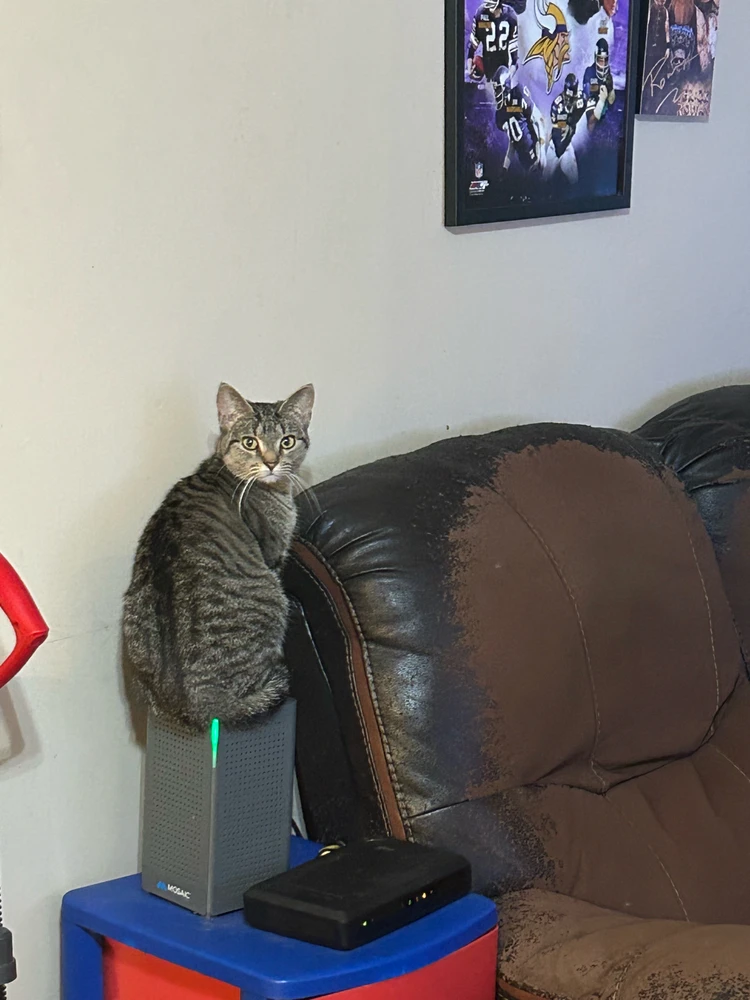 GIF uploaded by Daniel