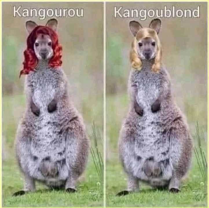 GIF ajouté par Mikaël