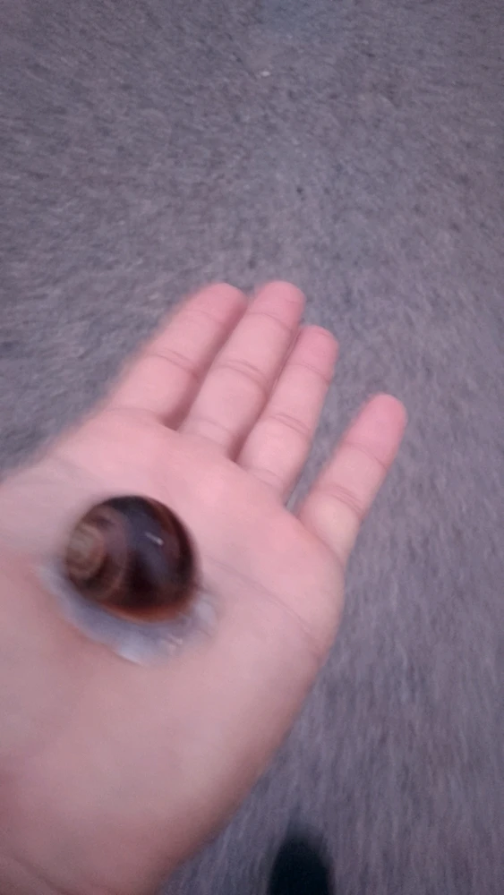 Immagine caricata da Khemais