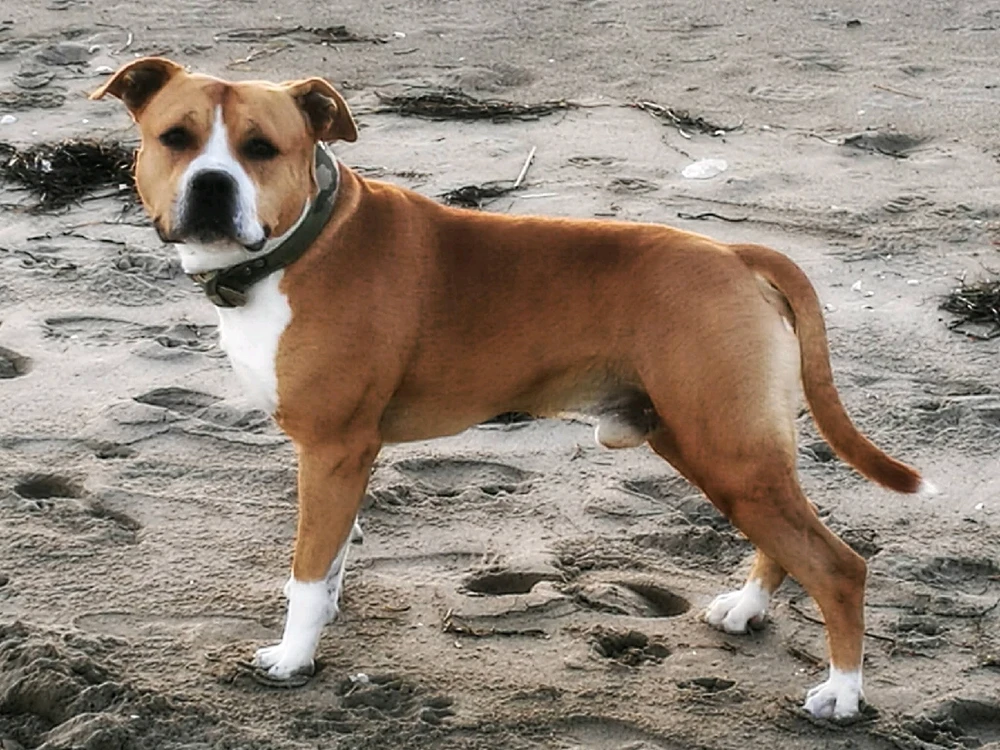 GIF caricata da Peppe