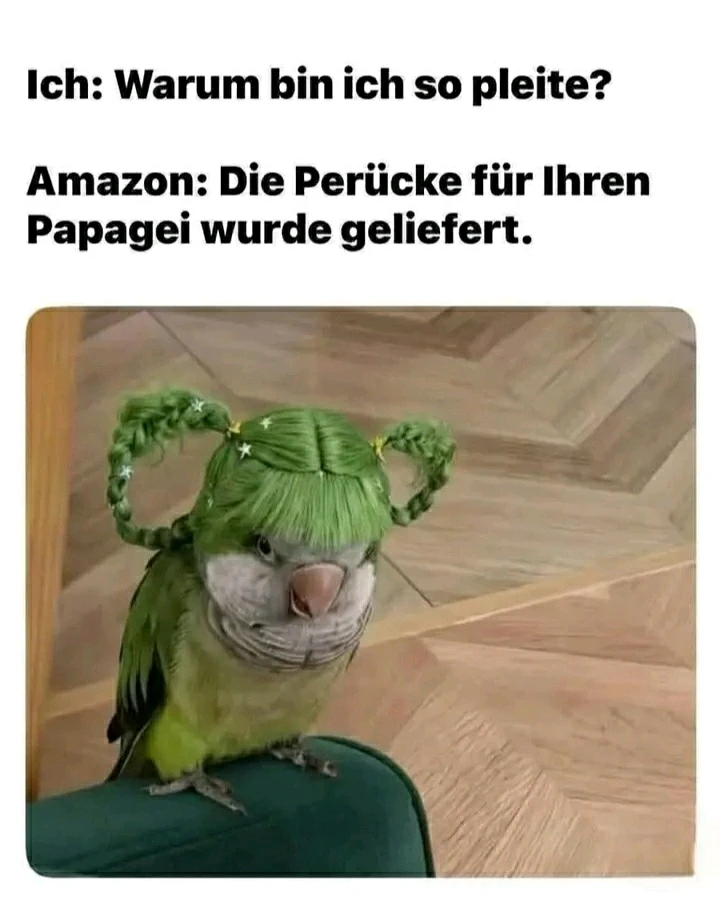 GIF hochgeladen von Marron