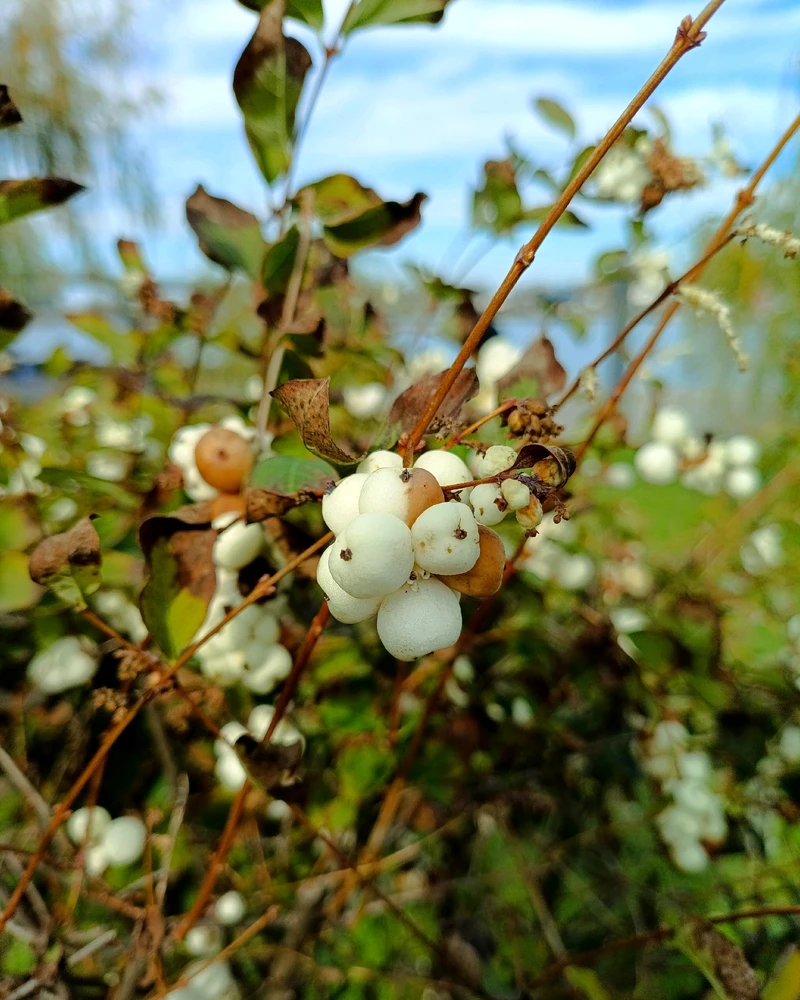 Зображення завантажив Ruslana